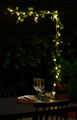 Eføygirlander med 20 LED-pærer – Garden